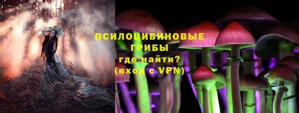гидропоника Алзамай