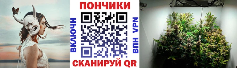 Конопля планчик Заозёрный
